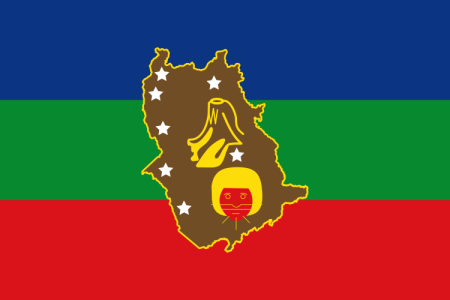 Bandera de Amazonas