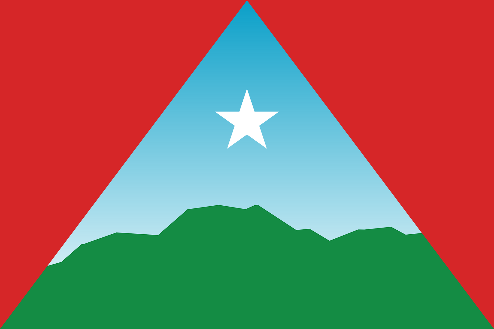 Bandera de Caracas